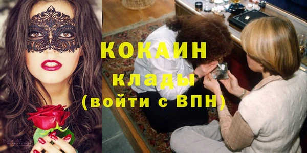 кокс Елизово