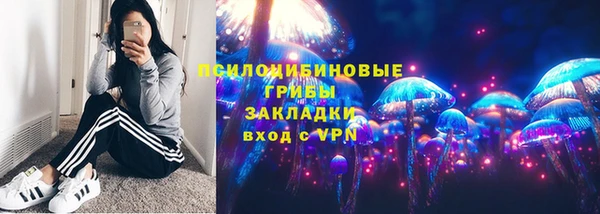 кокс Елизово